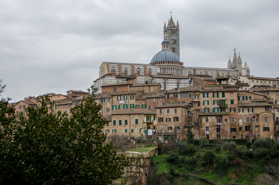 Siena